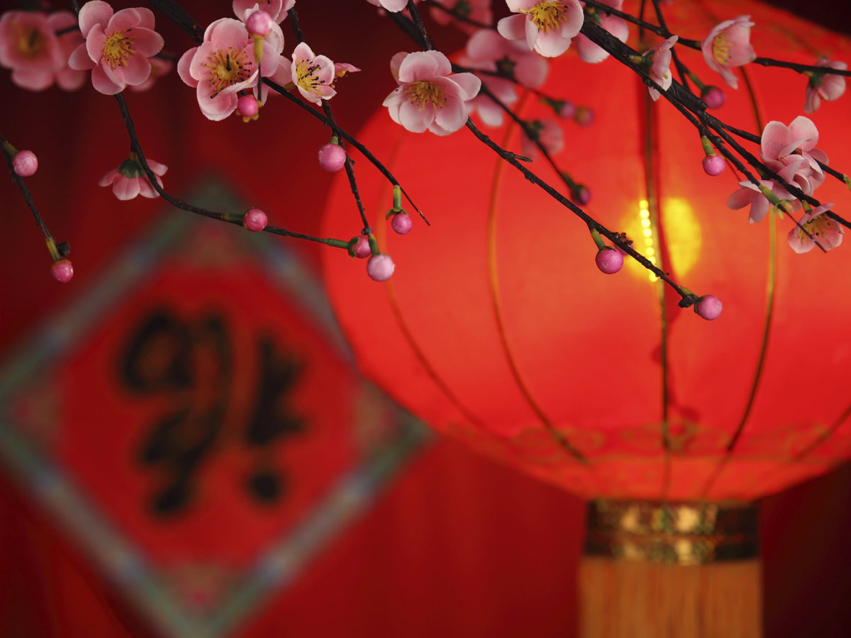 emigranci cieszą się chińskim nowym rokiem w Xiamen